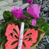 INVITACIÓN PERGAMINO BUTTERFLY - Imagen 4